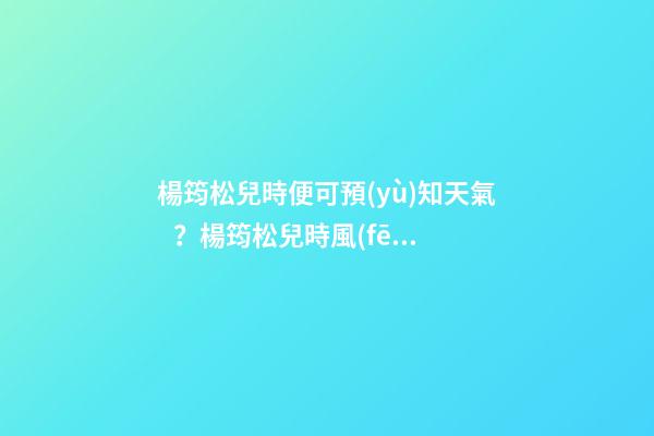楊筠松兒時便可預(yù)知天氣？楊筠松兒時風(fēng)水故事